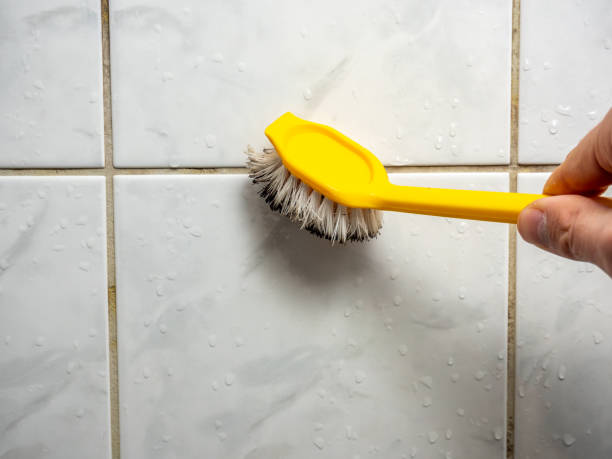 Best Black Mold Removal  in Rockwall, TX