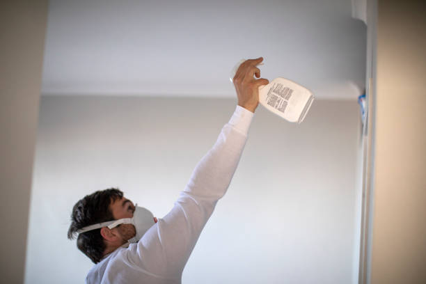 Best Fast Mold Removal  in Rockwall, TX