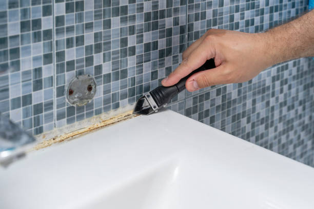 Reliable Rockwall, TX Mold Removal Solutions