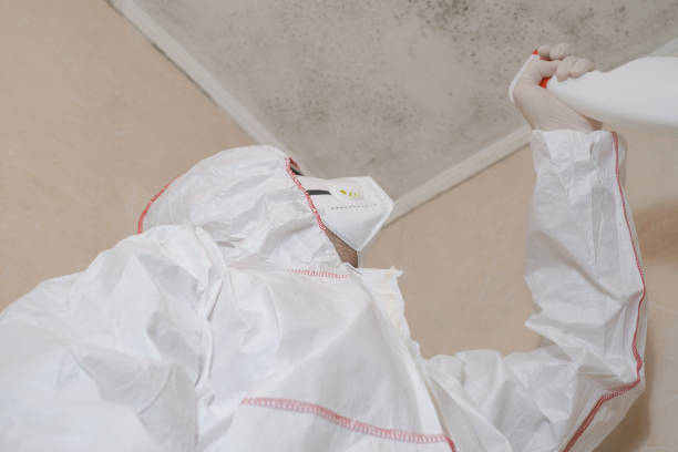 Best Mold Cleaning Services  in Rockwall, TX